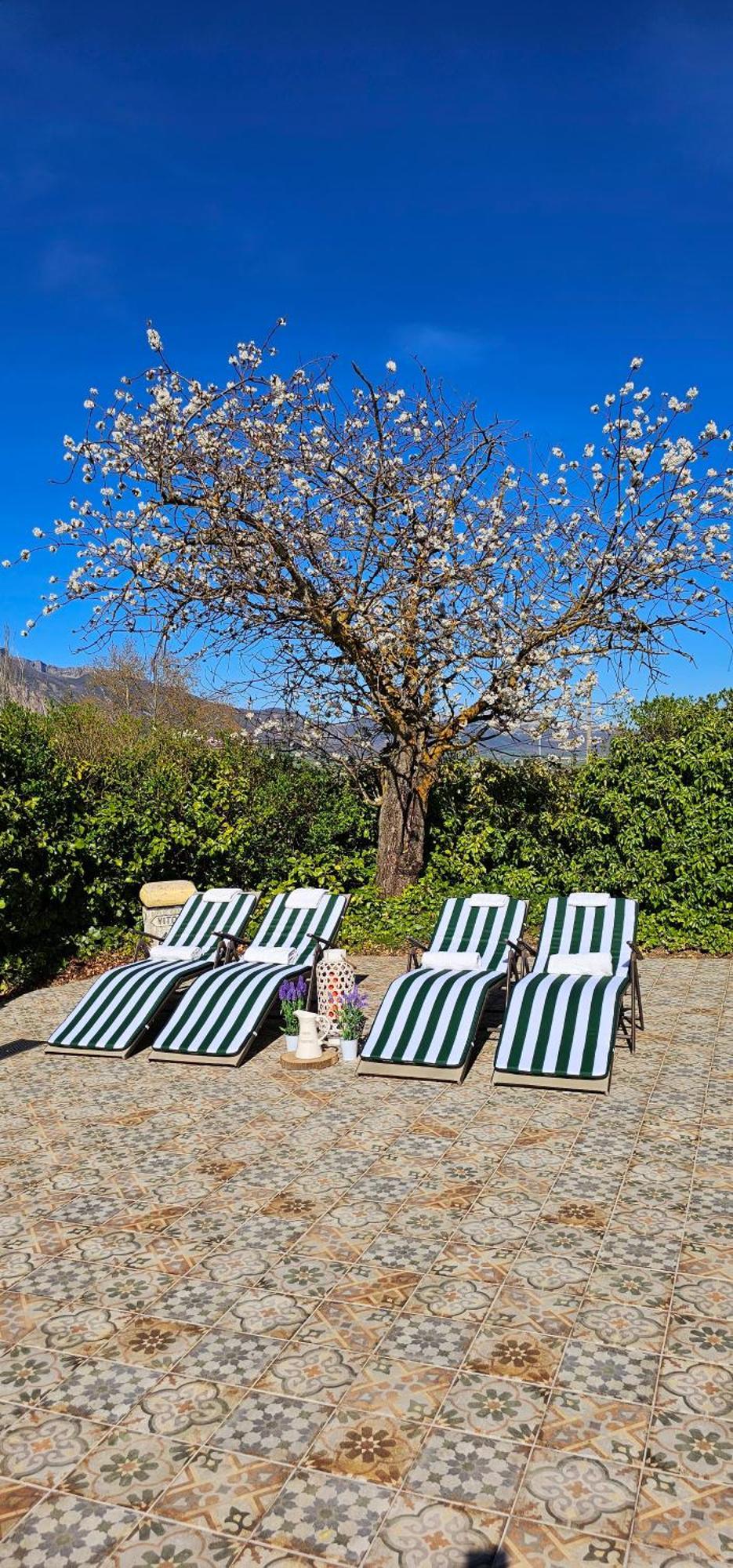 Legado De Zabala, Casa Rural Laguardia Bagian luar foto